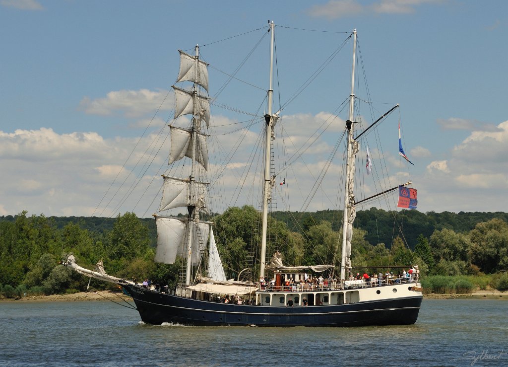 _SYL3275m.jpg - Thalassa