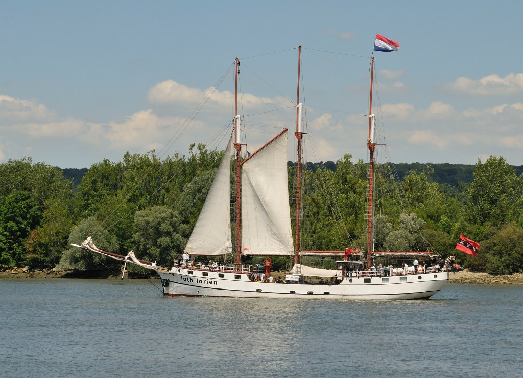 _SYL3321m.jpg - Loth Lorien