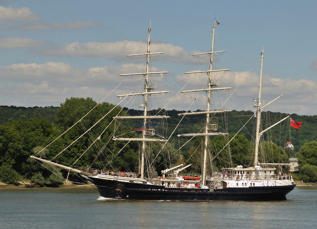 _SYL3460m.jpg - Tenacious