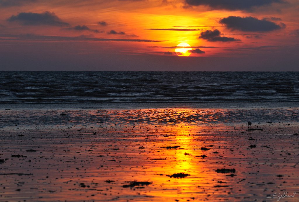 _SL10287m.jpg - Plage de Granville