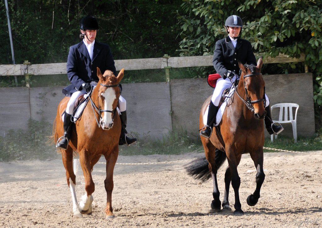 _SYL9784m.jpg - Oops, la musique à des ratées...