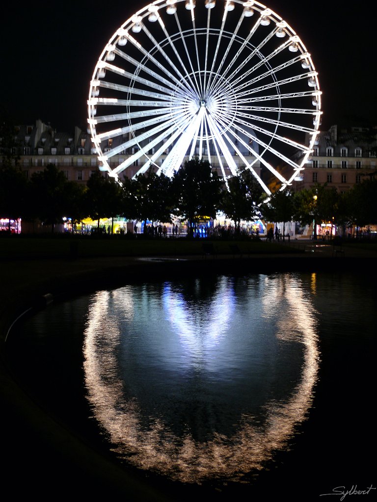 P1070500.JPG - La grande roue des Tuileries