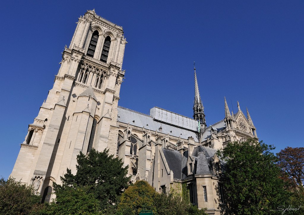 _SYL7599.jpg - Notre Dame (Paris)
