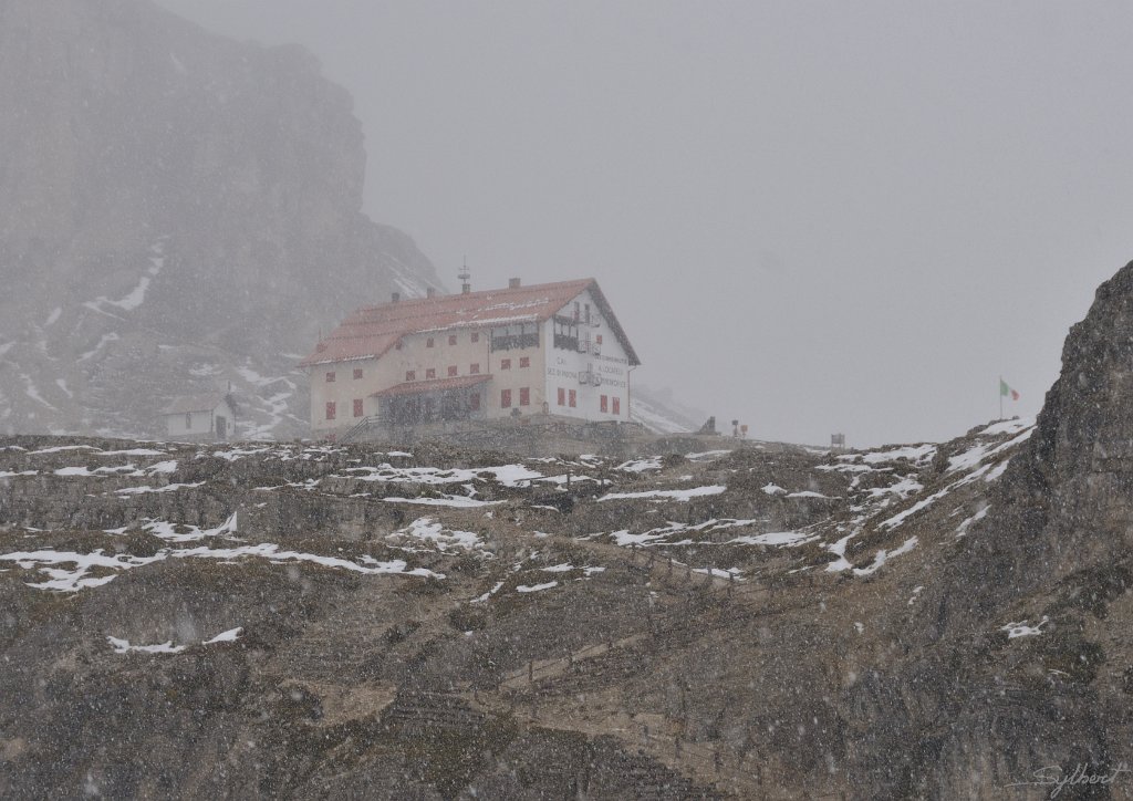 _SL13357.JPG - Il neige