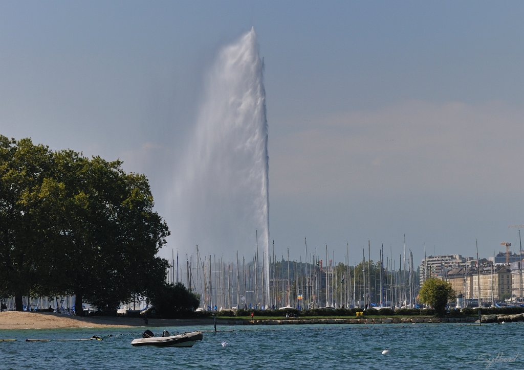 _SL11363m.jpg - Lac Léman (Genève)