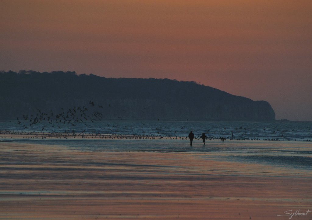 _SL15501m.jpg - Dieppe