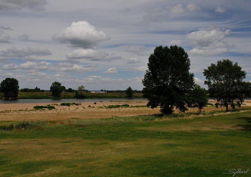 _SL11299m.jpg - Le bord de loire