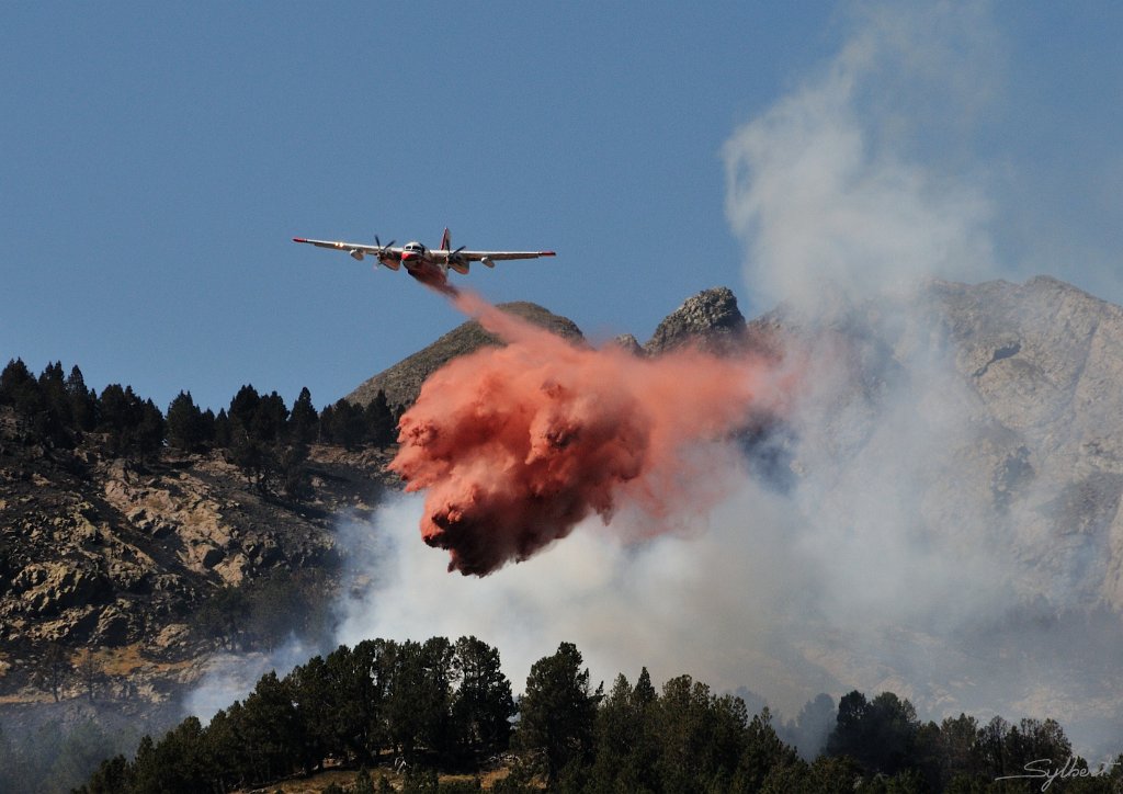 _SL12738m.jpg - 1er passage