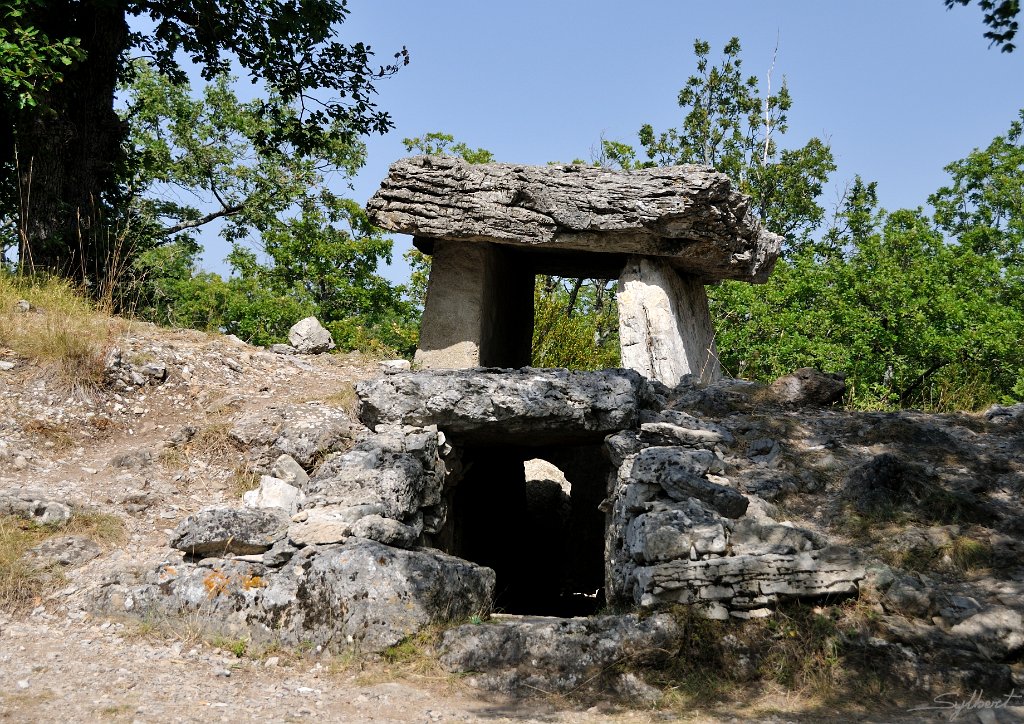 _SL11591m.jpg - Dolmen de Furressac