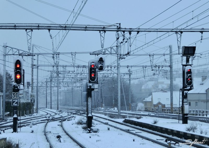 _SYL9955m2w.jpg - A vos marques, prêt ...